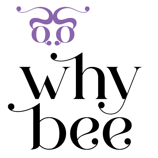 website logo